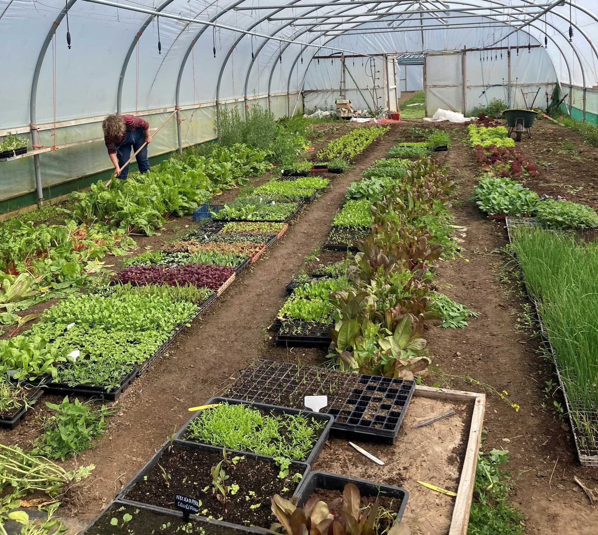 Lauriston Biodynamic Farm