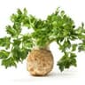 Celeriac