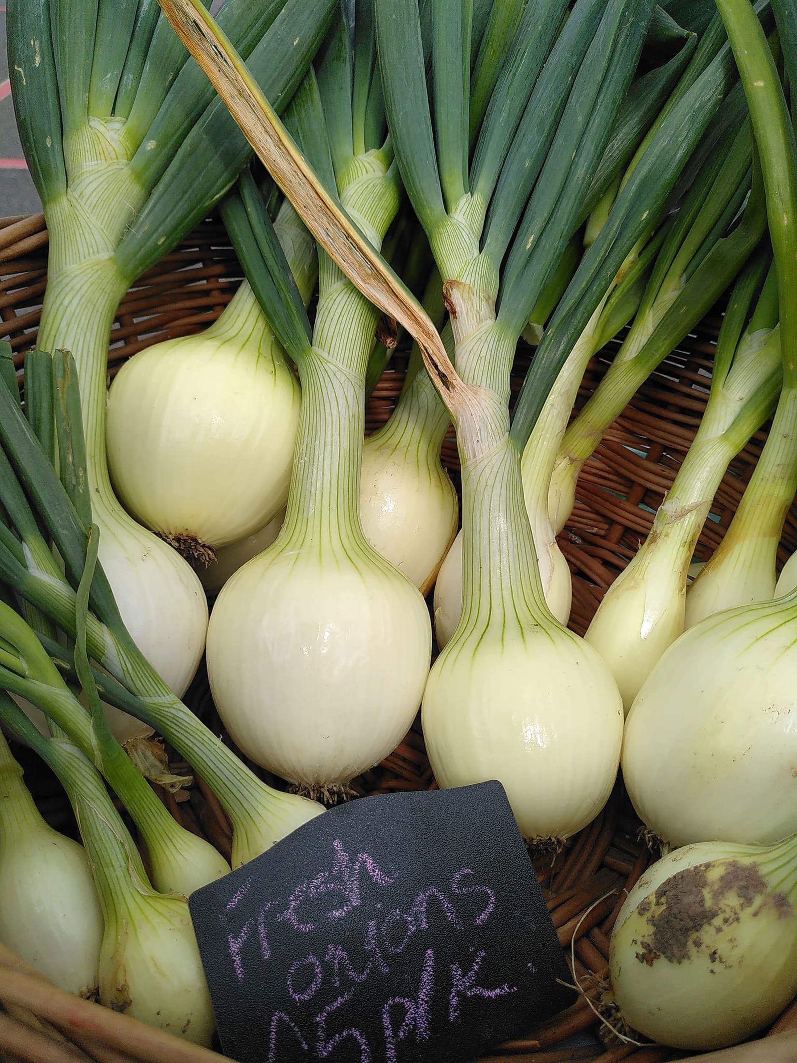 Onions